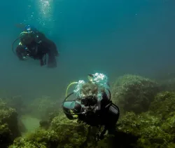 diving-porec-108
