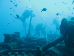 diving-porec-121